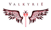 Engineering to Endure: Team Valkyrie